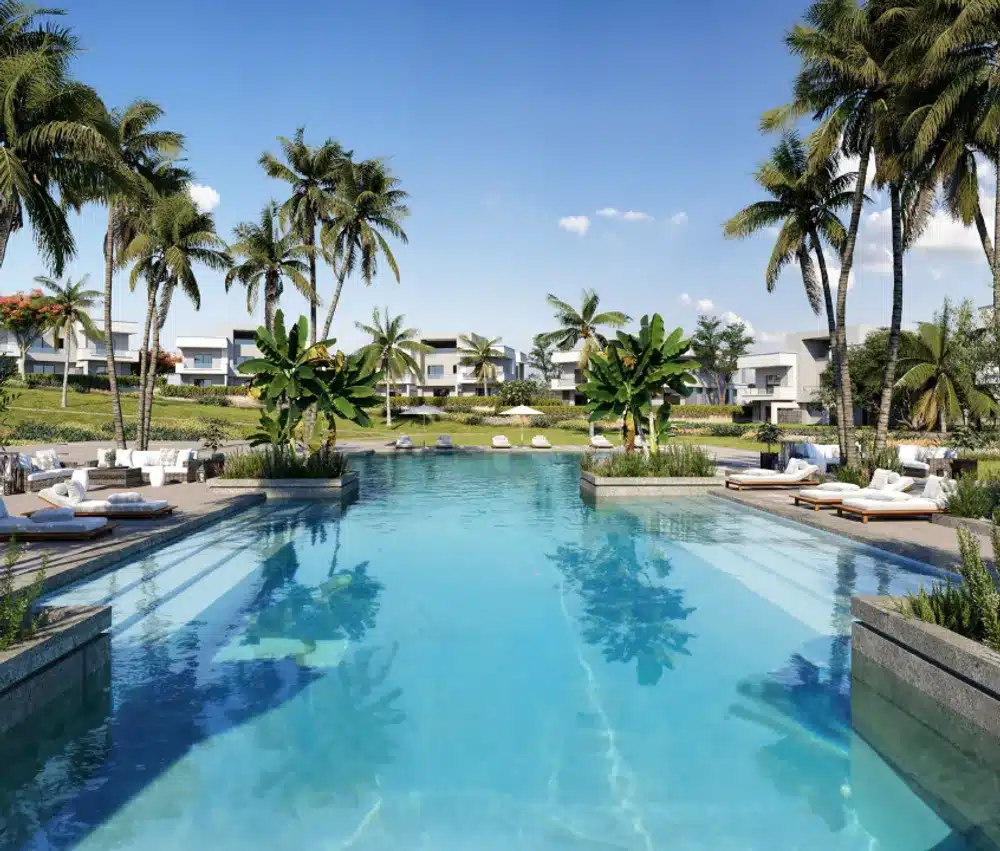 جايا راس الحكمة